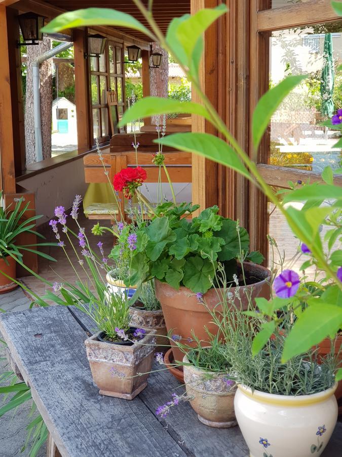 Sommer Panzio Balatonfoldvar Exterior photo